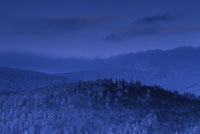Winternacht im Bayerischen Wald